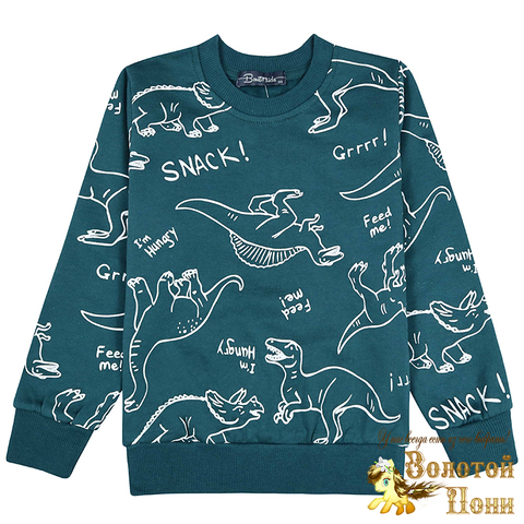 Свитшот хлоп/начес м (3-7) 241030-BK1518T.3