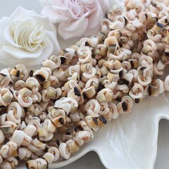 Ракушки натуральные, бусины, кремовый, спирали, 7-15 мм, 1 нить, ПР061