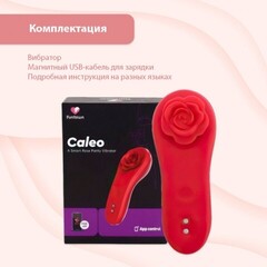 Smart-вибратор в трусики Funtown Caleo App от Magic Motion