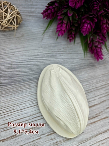 Молд+Вайнер 