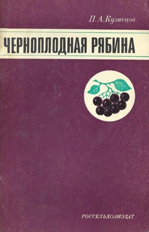 Черноплодная рябина