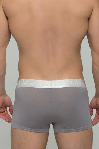 Мужские трусы 2029 Grey Salvador Dali