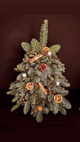 Ёлочка из нобилиса NWY005