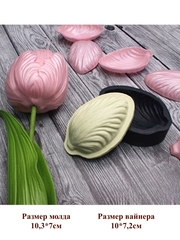 Молд пластиковый+вайнер силиконовый ВМ-58 тюльпан попугайный пионовидный