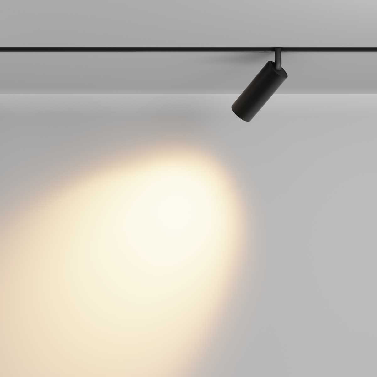 Трековый светильник Maytoni Technical Focus LED TR032-2-12W2.7K-M-B