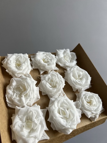 Роза сортовая белая d=5 см (упак 9 шт)