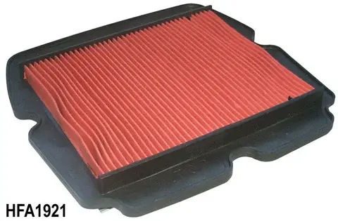 Воздушный фильтр Emgo 12-90050 (HFA1921) для Honda GL1800 2001-2017
