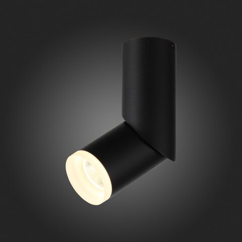Светильник потолочный ST Luce ST107.402.10
