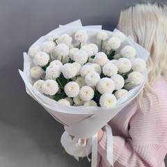 Букет из 7 кустовых хризантем "Ньютон"