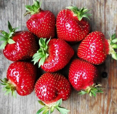 Клубника Зенга