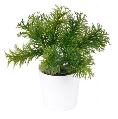 Искусственное комнатное растение в горшке Arvika, 13х13 см, полипропилен