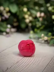 Пищевой молд 