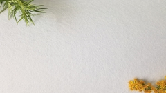 Фетр средней жесткости 2 мм, ширина 1 м, 215,4 гр/м2, белый