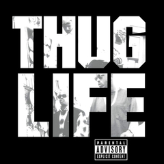 Thug Life / Volume 1 (25th Anniversary Edition) (LP)