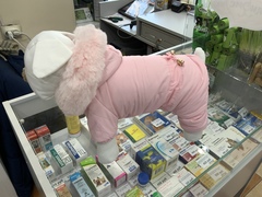 Royal Dog комбинезон зимний Elegant Premium розовый S,M,L