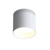 Светильник потолочный ST Luce ST102.502.09