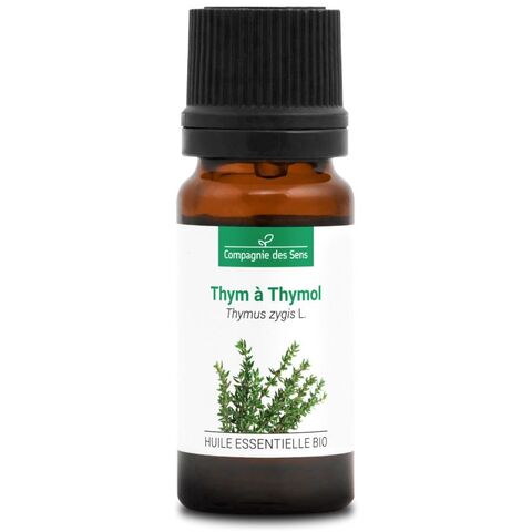 CdS. Тимьян хт. тимол (Thyme ct. Thymol) – 10 ml