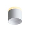 Светильник потолочный ST Luce ST102.502.09