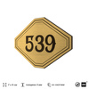 Номерок на дверь квартиры 539, для кабинета, офиса, шильдик 9 х 7 см, золотистый, Айдентика Технолоджи