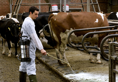 Распылитель Gloria 505T Profiline, высококачественная нержавеющая сталь, масло-бензостойкий, с манометром, объем 5 л