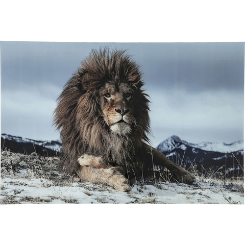 Картина Proud Lion, коллекция 