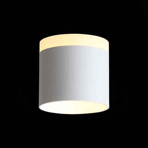 Светильник потолочный ST Luce ST102.502.09