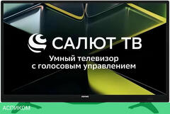 Телевизор Asano 24LF5010T