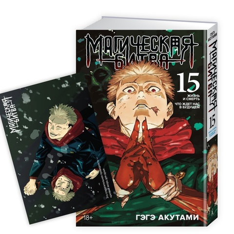 Магическая битва. Книга 15