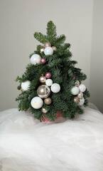 Елка из датской ели