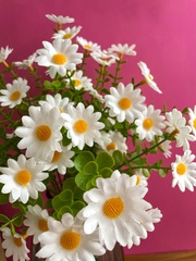 Ромашки белые луговые искусственные, 7 веток, 28 голов, букет 44 см, 2 букета.