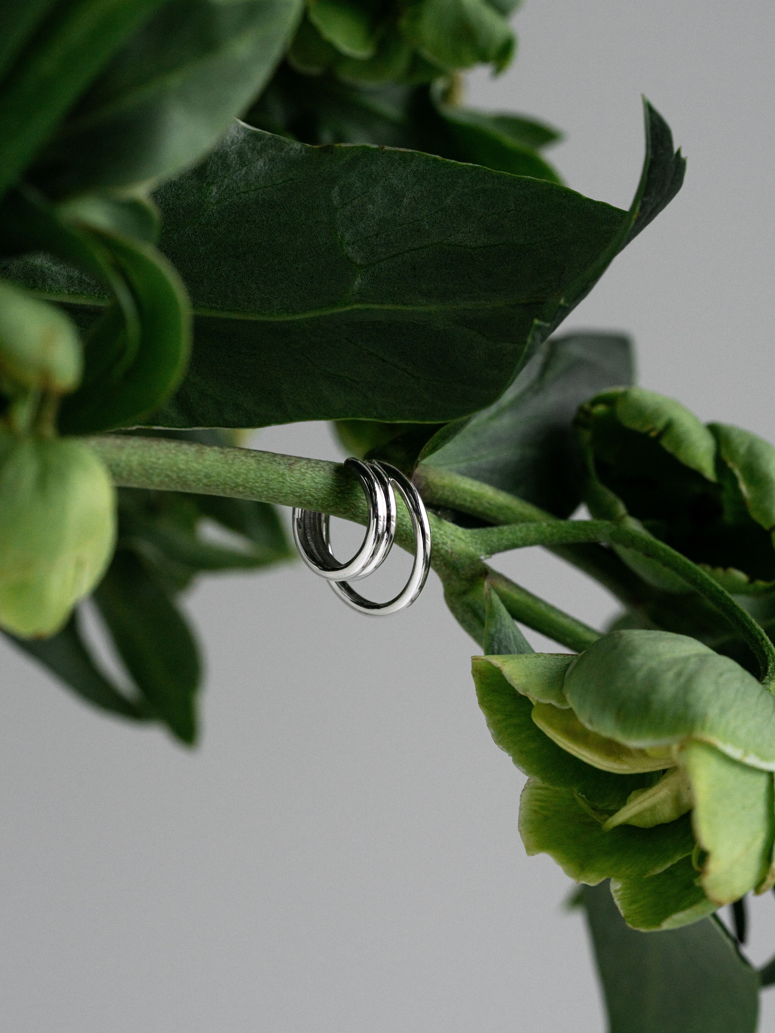 Кафф Лента дуо