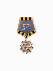 Орден с георгиевской лентой «Я помню, горжусь», 3,8*8,5 см, 1 шт.