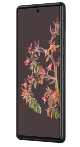 Google Pixel 6 8/128Gb Stormy Black (черный)