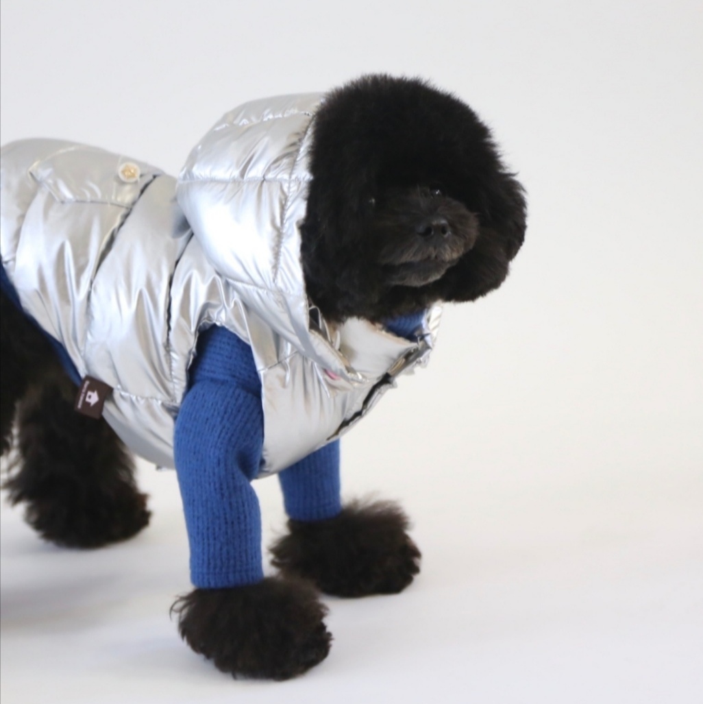 BH - Курточки для собак 