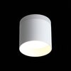 Светильник потолочный ST Luce ST102.502.09
