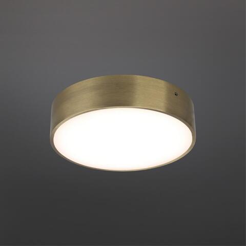 Потолочный светодиодный светильник Aployt Evon APL.0114.29.18