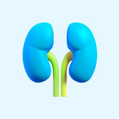 Диагностика состояния почек