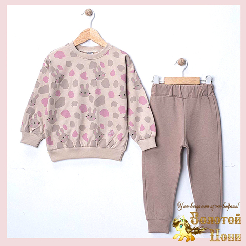 Костюм хлопок д (2-5) 260119-SL6167