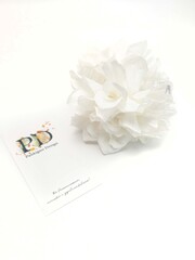 Крабы для волос