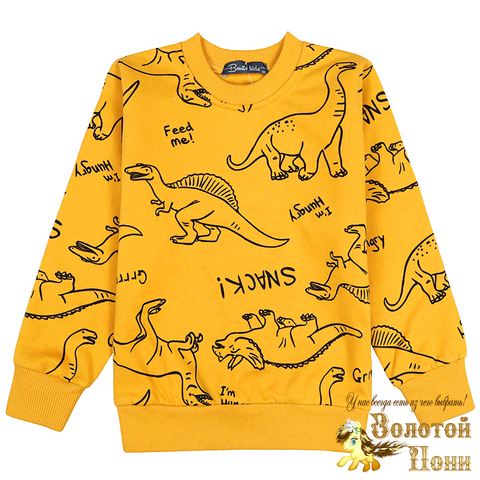 Свитшот хлоп/начес м (3-7) 241030-BK1518T.4