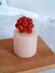 Силиконовая форма 