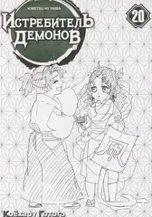 Истребитель демонов. Том 20. Путь, что прокладывается убеждениями