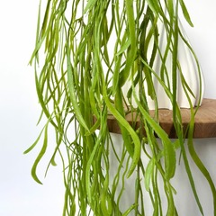 Ампельное  растение, искусственная зелень - Трава Осока свисающая, зеленая, 98 см.