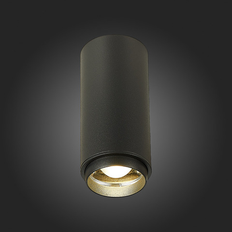 Светильник потолочный ST Luce ST600.442.10