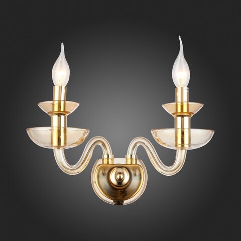 Светильник настенный ST Luce Cenela SL1758.201.02