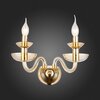 Светильник настенный ST Luce Cenela SL1758.201.02