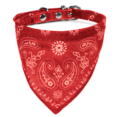 Triol ошейник 