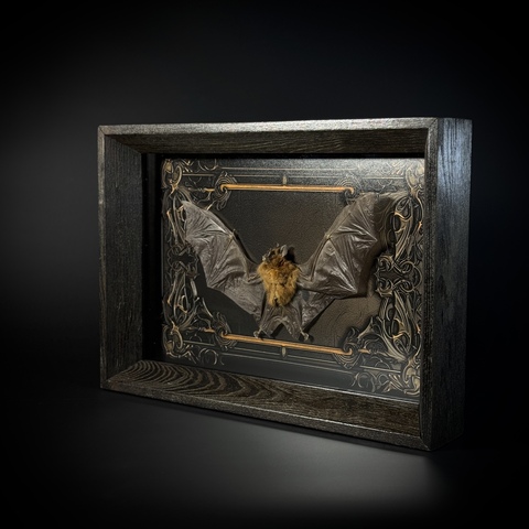 Летучая мышь