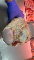 Мостолыга / Мосол (сустав говяжий)