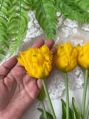 Тюльпаны силиконовые как настоящие, Волнистый край, качество ПРЕМИУМ, Желтые, высота 40 см, букет 5 штук.